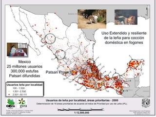 Uso Extendido y resiliente
de la leña para cocción
doméstica en fogones
Patsari Project
Mexico
25 millones usuarios
300,00...