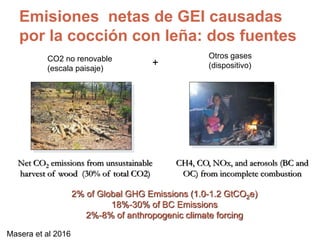 Net CO2 emissions from unsustainable
harvest of wood (30% of total CO2)
CH4, CO, NOx, and aerosols (BC and
OC) from incomp...