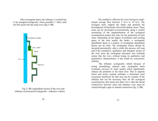 After rectangular basin, the tributary’s riverbed has 
to be arranged ecologically, where possible (≈ 10m), until 
the flow point into the main river (fig.2.1.II). 
the pollution of a tributary 
basin - wetland 
tributary 
river 
riparian area 
Fig.2.1.II Longitudinal section of the river and 
tributary reconstructed ecologically - indicative scheme 
26 
This method is efficient for rivers having an multi-annual 
average flow between 2 m³/s to 10 m³/s. The 
ecologial stairs support the banks and promote the 
development of biocenotic diversified deltaic areas. These 
areas can be developed ecosystemically along a careful 
monitoring of the implementation of the ecological 
reconstruction project but, also, by law protection of such 
areas. Depending on the degree of pollution and existing 
space in the area nearby the banks, a rectangular 
depollutant basin or a battery of rectangular depollutant 
basins can be built. The rectangular basins should be 
decanted periodically; after a while this process will stop 
and if the cumulative, qualitative and energetic system of 
the river turns the rectangular decanters into wetlands 
means that the river, without losing its qualitative and 
quantitative characteristics, it has found an ecosystemic 
stability. 
The tributary ecologically rebuilt because of 
strong meandering, riparian area, rectangular basin 
(wetland), recovers its water quality which significantly 
reduces the pollution in the main river. Due to riparian 
forest and newly created wetlands, a functional local 
ecosystem beneficial for that area can be created. If the 
tributary has not the necessary flow for the ecological 
reconstruction, that means less than 2 m³/s, then the lateral 
connectivity between main and tributary river must be 
created through a pipe or channel connection (fig. 2.2.II). 
27 
 
