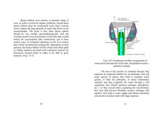 Basins habitat must entirely or partially made of 
rock. In order to avoid an organic pollution, around these 
basins habitat must be constructed some drain systems 
which capture the large quantity of water that flows on the 
mountainsides. The point is that these basins habitat 
should be very similar, geomorphologically, with the 
riverbed sectors from downstream of the lake that existed 
before the accumulation lake construction, just to have 
certain ways of ecological operating on the river sectors 
that will be reconstructed ecologically. Depending on their 
position, the basins habitat will be closed with metal grids 
or sliding windows provided with ventilation systems for 
biocenosis formed inside in order to be able to grow 
properly. (Fig.1. 4. I). 
10 
dam 
water supply pipe 
for the habitat basin 
mountainside 
water collector 
protective railing habitat basin 
water supply pipe 
green stairs 
wetland 
riparian area 
watercourse ecologically arranged 
Fig.1.4.I Completed ecotehnic arrangement of 
watercourse downstream of the dam, longitudinal section - 
indicative scheme 
The aim is the creation of wetlands because they 
represent an important habitat for invertebrates, fish and 
many species of plants; they help to maintain water 
quality, to filter the pollutants, to retain sedimentary 
material, and they oxigenate the water through a rich 
vegetation, they absorb nutrients (nitrogen, phosphorus, 
etc. .) or they recycle them, regulating the microclimate, 
they also help prevent flooding, erosion, recharge with 
aquifers, they help to water supply and replace profitably 
some hydro structures built with large expenses. 
11 
 