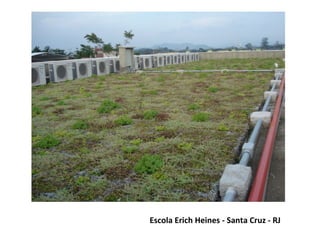 Escola Erich Heines - Santa Cruz - RJ 