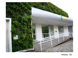 Pelotas  RS 