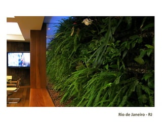 Rio de Janeiro - RJ  