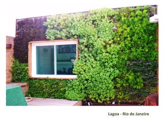 Lagoa - Rio de Janeiro  