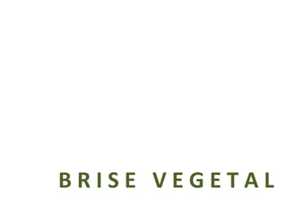 B R I S E  V E G E T A L 