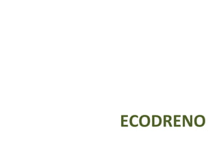 ECODRENO 