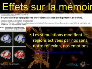 Effets sur la mémoir
• Les stimulations modifient les
régions activées par nos sens,
notre réflexion, nos émotions..
http://www.psychologytoday.com/files/attachments/5230/136.pdf
 