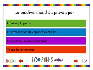 Ecotest
