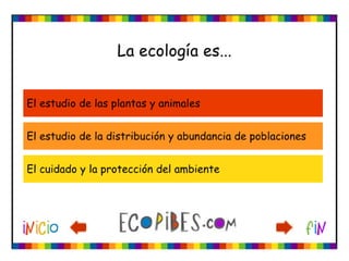 Ecotest