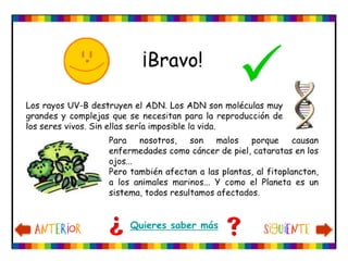 Ecotest