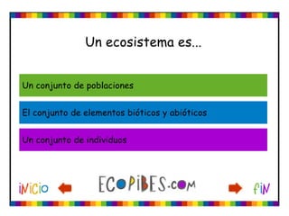 Ecotest