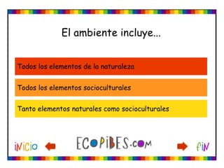 Ecotest