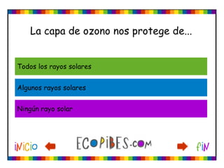Ecotest