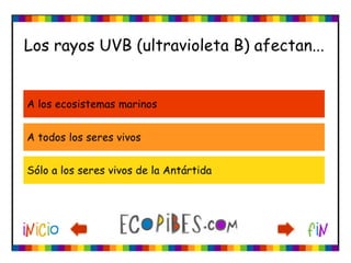 Ecotest