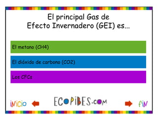 Ecotest
