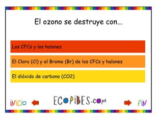 Ecotest