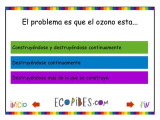 Ecotest
