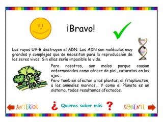 Los rayos UV-B destruyen el ADN. Los ADN son moléculas muy
grandes y complejas que se necesitan para la reproducción de
los seres vivos. Sin ellas sería imposible la vida.
Para nosotros, son malos porque causan
enfermedades como cáncer de piel, cataratas en los
ojos...
Pero también afectan a las plantas, al fitoplancton,
a los animales marinos... Y como el Planeta es un
sistema, todos resultamos afectados.
¡Bravo!

Quieres saber más
 