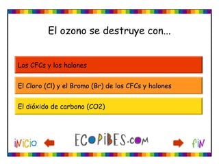El ozono se destruye con...
Los CFCs y los halones
El Cloro (Cl) y el Bromo (Br) de los CFCs y halones
El dióxido de carbono (CO2)
 