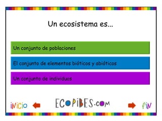 Un ecosistema es...


Un conjunto de poblaciones


El conjunto de elementos bióticos y abióticos


Un conjunto de individuos
 