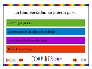 La biodiversidad se pierde por...
La caza y la pesca
La introducción de especies exóticas
La destrucción de ecosistemas
Todas las anteriores
 