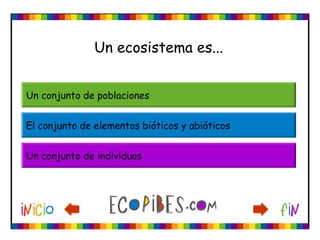 Un ecosistema es...
Un conjunto de poblaciones
El conjunto de elementos bióticos y abióticos
Un conjunto de individuos
 