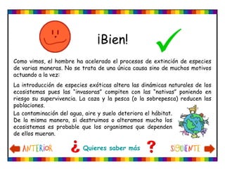 Quieres saber más
¡Bien!
Como vimos, el hombre ha acelerado el procesos de extinción de especies
de varias maneras. No se trata de una única causa sino de muchos motivos
actuando a la vez:
La introducción de especies exóticas altera las dinámicas naturales de los
ecosistemas pues las “invasoras” compiten con las “nativas” poniendo en
riesgo su supervivencia. La caza y la pesca (o la sobrepesca) reducen las
poblaciones.
La contaminación del agua, aire y suelo deteriora el hábitat.
De la misma manera, si destruimos o alteramos mucho los
ecosistemas es probable que los organismos que dependen
de ellos mueran.
 
