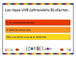 Los rayos UVB (ultravioleta B) afectan...
A los ecosistemas marinos
A todos los seres vivos
Sólo a los seres vivos de la Antártida
 