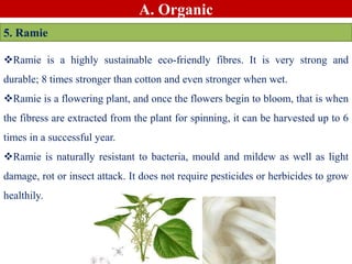 A. Organic
5. Ramie
Ramie is a highly sustainable eco-friendly fibres. It is very strong and
durable; 8 times stronger than cotton and even stronger when wet.
Ramie is a flowering plant, and once the flowers begin to bloom, that is when
the fibress are extracted from the plant for spinning, it can be harvested up to 6
times in a successful year.
Ramie is naturally resistant to bacteria, mould and mildew as well as light
damage, rot or insect attack. It does not require pesticides or herbicides to grow
healthily.
 