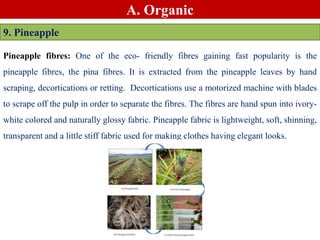 A. Organic
9. Pineapple
Pineapple fibres: One of the eco- friendly fibres gaining fast popularity is the
pineapple fibres, the pina fibres. It is extracted from the pineapple leaves by hand
scraping, decortications or retting. Decortications use a motorized machine with blades
to scrape off the pulp in order to separate the fibres. The fibres are hand spun into ivory-
white colored and naturally glossy fabric. Pineapple fabric is lightweight, soft, shinning,
transparent and a little stiff fabric used for making clothes having elegant looks.
 