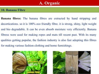 A. Organic
10. Banana Fibre
Banana fibres: The banana fibres are extracted by hand stripping and
decortications. so it is 100% eco friendly fibre. it is strong, shiny, light weight
and bio degradable. It can be even absorb moisture very efficiently. Banana
fibress were used for making ropes and mats till recent past. With its many
qualities getting popular, the fashion industry is also fast adopting this fibres
for making various fashion clothing and home furnishings.
 