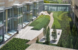 Ecotherapy: Expanding the Benefits of the Healing Garden
 