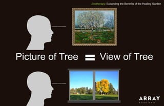 Ecotherapy: Expanding the Benefits of the Healing Garden
Picture of Tree View of Tree
 