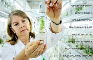 Ecotherapy: Expanding the Benefits of the Healing Garden
REDUCES PSORIATIC SYMPTOMS
IMPROVES BONE DENSITY
REDUCES CANCER RISKS
IMPROVES NUTRITION
COMBATS OBESITY
LOWERS STRESS / BP
BOOSTS IMMUNE FUNCTIONS
REDUCES DEPRESSION
 