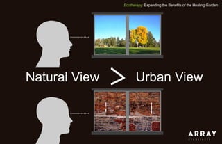 Ecotherapy: Expanding the Benefits of the Healing Garden
Natural View Urban View
 