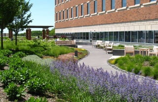 Ecotherapy: Expanding the Benefits of the Healing Garden
 