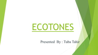 ECOTONES
Presented By : Tuba Tahir
 