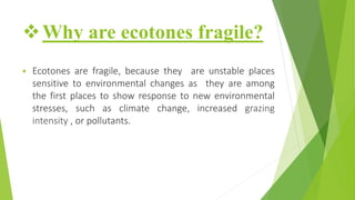 Why are ecotones fragile?
 Ecotones are fragile, because they are unstable places
sensitive to environmental changes as they are among
the first places to show response to new environmental
stresses, such as climate change, increased grazing
intensity , or pollutants.
 