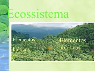Ecossistema 
Elementos 
bióticos + 
Elementos 
abióticos 
 