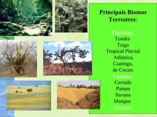 Principais Biomas 
Terrestres: 
Florestas: 
Tundra 
Taiga 
Tropical Pluvial 
Atlântica, 
Caatinga, 
de Cocais 
Campos: 
Cerrado 
Pampa 
Savana 
Mangue 
Desertos 
 
