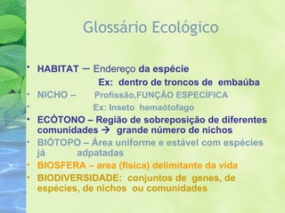 Glossário Ecológico 
• HABITAT – Endereço da espécie 
Ex: dentro de troncos de embaúba 
• NICHO – Profissão,FUNÇÃO ESPECÍFICA 
• Ex: Inseto hemaótofago 
• ECÓTONO – Região de sobreposição de diferentes 
comunidades  grande número de nichos 
• BIÓTOPO – Área uniforme e estável com espécies 
já adpatadas 
• BIOSFERA – area (fisica) delimitante da vida 
• BIODIVERSIDADE: conjuntos de genes, de 
espécies, de nichos ou comunidades 
 