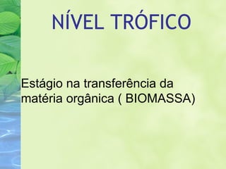 NÍVEL TRÓFICO 
Estágio na transferência da 
matéria orgânica ( BIOMASSA) 
 