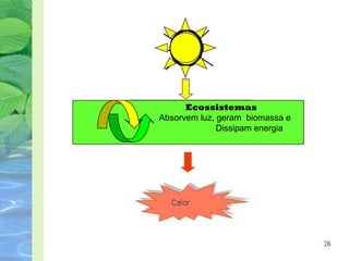 Ecossistemas 
Absorvem luz, geram biomassa e 
Dissipam energia 
 