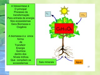 A fotossíntese é 
O principal 
Processo de 
transformação 
Para entrada de energia 
Nos ecossistemas 
Gera Biomassa e 
Oxigênio 
A biomassa é a única 
forma 
de 
Transferir 
Energia 
Química 
dentro dos 
Níveis trófcos 
Que compõem os 
ecossistemas 
C6H12O6 
Sais minerais água 
 