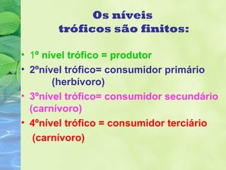 Os níveis 
tróficos são finitos: 
• 1º nível trófico = produtor 
• 2ºnível trófico= consumidor primário 
(herbívoro) 
• 3ºnível trófico= consumidor secundário 
(carnívoro) 
• 4ºnível trófico = consumidor terciário 
(carnívoro) 
 
