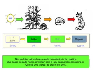 Milho Rato Raposa 
Nas cadeias alimentares a cada transferência de matéria 
Que passa de cada “fonte alimentar” para o seu consumidor,cosnidera-se 
Que há uma ‘perda’ da ordem de 90%. 
 