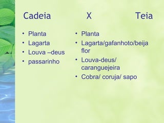 Cadeia X Teia 
• Planta 
• Lagarta 
• Louva –deus 
• passarinho 
• Planta 
• Lagarta/gafanhoto/beija 
flor 
• Louva-deus/ 
caranguejeira 
• Cobra/ coruja/ sapo 
 