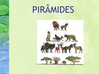 PIRÂMIDES 
 