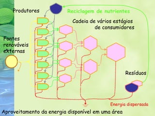 Reciclagem de nutrientes 
Cadeia de vários estágios 
de consumidores 
Energia dispersada 
Produtores 
Fontes 
renováveis 
externas 
Apr oveitamento da ene rgia disponível em uma área 
Resíduos 
 