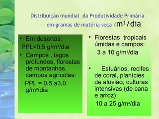 Distribuição mundial da Produtividade Primária 
em gramas de matéria seca /m²/dia 
• Em desertos: 
PPL<0,5 g/m²/dia 
• Campos , lagos 
profundos, florestas 
de montanhas, 
campos agrícolas: 
PPL = 0,5 a3,0 
g/m²/dia 
• Florestas tropicais 
úmidas e campos: 
3 a 10 g/m²/dia 
• Estuários, recifes 
de coral, planícies 
de aluvião, culturas 
intensivas (de cana 
e arroz) 
10 a 25 g/m²/dia 
 